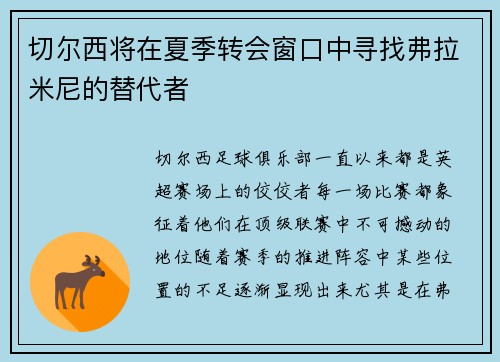 切尔西将在夏季转会窗口中寻找弗拉米尼的替代者